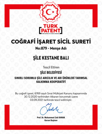  Şile Kestane Balı 750 G – 2024 Paris Lezzet  İ̇Stanbul Şile Coğrafi İ̇Şaretli