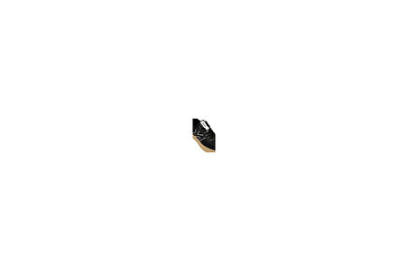 Kinetix 101940726 Paleros Siyah Kadın Sneaker