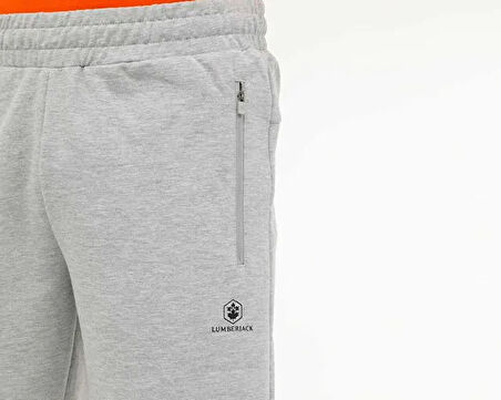 LUMBERJACK Erkek Günlük Tişört 101939489 Gri