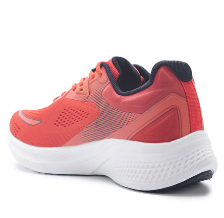 Us Polo Assn Arma Erkek Sneaker