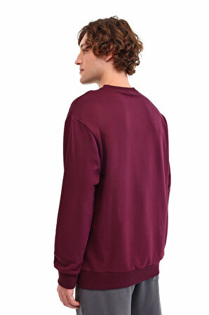 LUMBERJACK MB SN75 C NECK SW 5PR ERKEK SWEATSHİRT