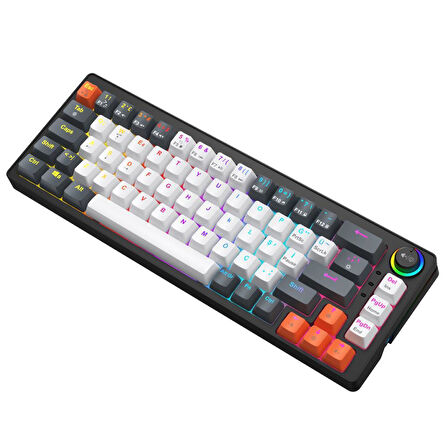 Blueforce Orbiter Rgb Mekanik Gaming Oyuncu Klavyesi Red Switch Q TR