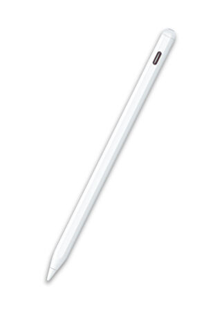 iPad Air 11 inç M2 A2902 A2903 A2904 Uyumlu Kablolu ve Kablosuz Şarj Özellikli Tablet Kalemi