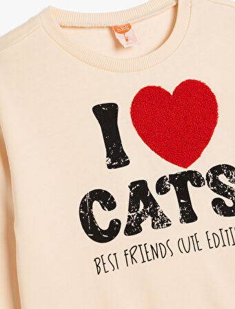 Sweatshirt Uzun Kollu Bisiklet Yaka Baskılı ve Aplike Detaylı Şardonlu