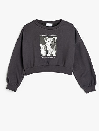 Sweatshirt Köpek Baskılı Bisiklet Yaka Uzun Kollu Şardonlu Pamuklu