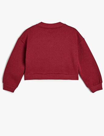 Fermuarlı Sweatshirt Uzun Kollu Yuvarlak Yaka Şardonlu