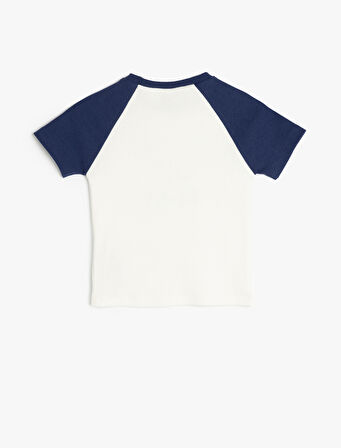 Bisiklet Yaka Baskı Detaylı Renk Bloklu Kısa Kollu Tişört