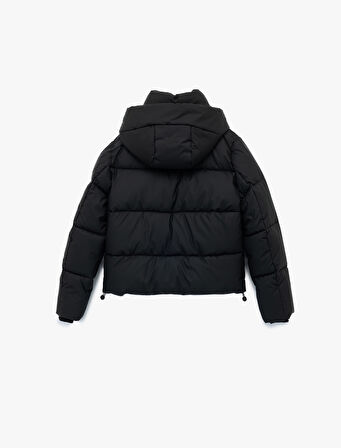 Polar Cep Detaylı Fermuarlı Uzun Kollu Kapüşonlu Crop Şişme Mont