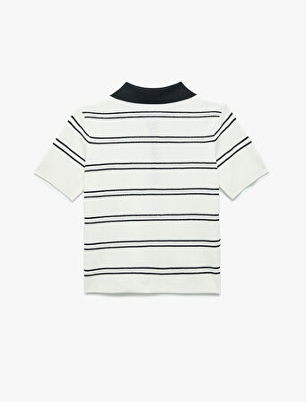 Regular Fit Düğmeli Kısa Kollu Polo Yaka Triko Kazak