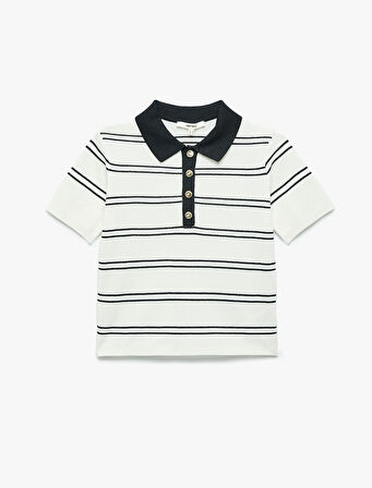 Regular Fit Düğmeli Kısa Kollu Polo Yaka Triko Kazak