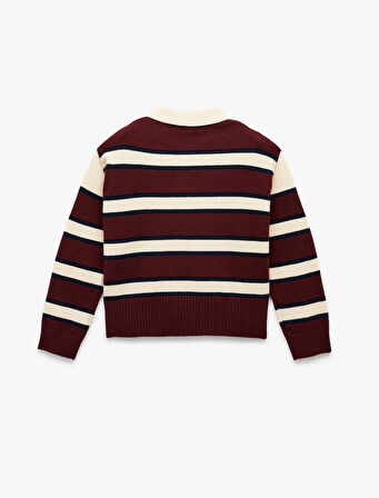 Polo Yaka Çizgili Triko Kazak