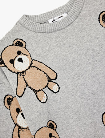 Viskon Karışımlı Uzun Kollu Bisiklet Yaka Ayıcık Desenli Triko Kazak