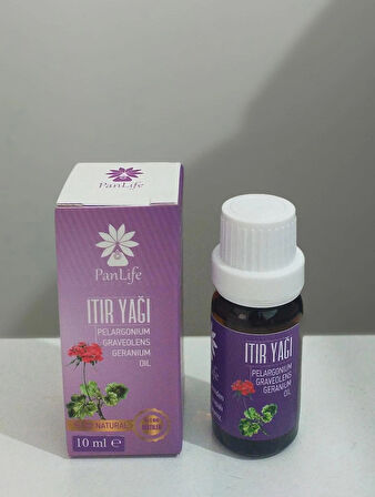 PANLİFE ITIR(SARDUNYA)10 ML