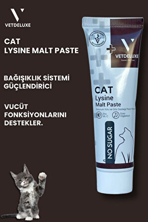 Lysine Malt Kedi ve Köpekler İçin Göz Sağlığı ve Solunum Yolu Destekleyici Malt Macunu 100 Gr