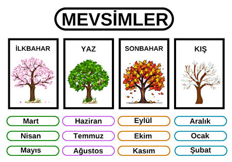 Mevsim Eğitici Tablo 35x50 cm Bristol Baskı 02