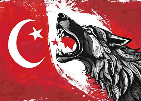 ASİL KURT 3 70X50CM KARTON ÇERÇEVESİZ TABLO