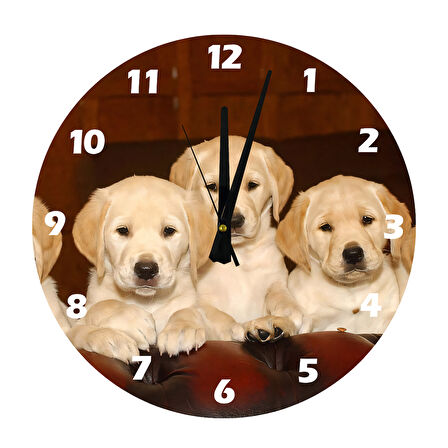 Tİ-PLAY LABRADOR YAVRULARI 30X30CM AKRİLİK DEKORATİF MODERN DUVAR SAATİ