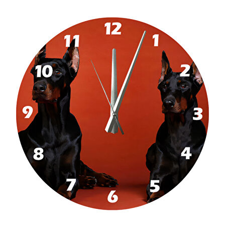 Tİ-PLAY DOBERMAN 30X30CM AKRİLİK DEKORATİF MODERN DUVAR SAATİ