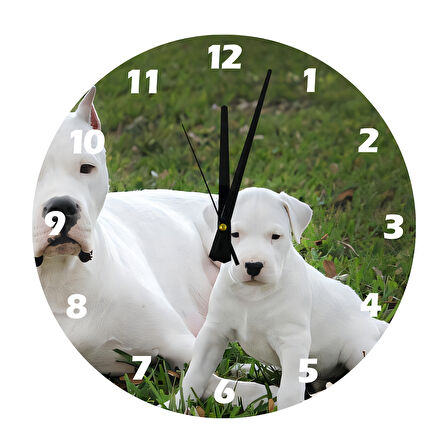 Tİ-PLAY DOGO VE YAVRUSU 30X30CM AKRİLİK DEKORATİF MODERN DUVAR SAATİ