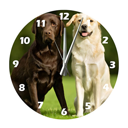 Tİ-PLAY LABRADOR 30X30CM AKRİLİK DEKORATİF MODERN DUVAR SAATİ