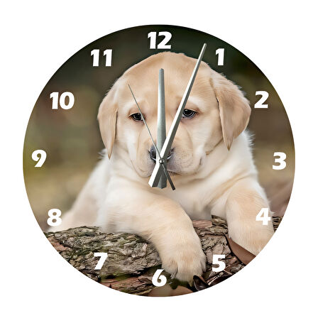 Tİ-PLAY TATLI YAVRU LABRADOR 30X30CM AKRİLİK DEKORATİF MODERN DUVAR SAATİ