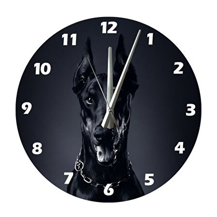 Tİ-PLAY DİKKAT KESİLEN DOBERMAN 30X30CM AKRİLİK DEKORATİF MODERN DUVAR SAATİ