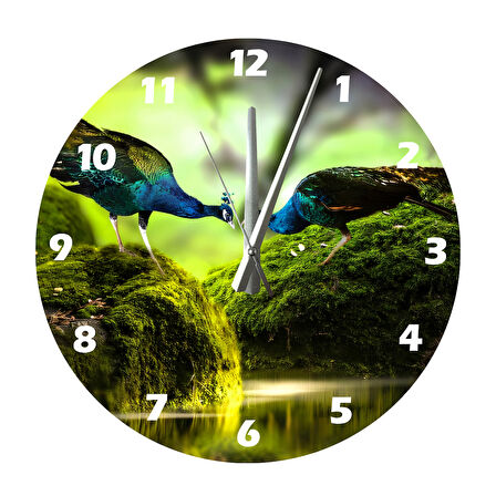 Tİ-PLAY TAVUS KUŞLARI 30X30CM AKRİLİK DEKORATİF MODERN DUVAR SAATİ