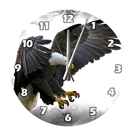 Tİ-PLAY KARTAL SALDIRIYOR 30X30CM AKRİLİK DEKORATİF MODERN DUVAR SAATİ