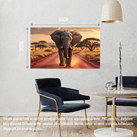 VAHŞİ DOĞADA KOŞAN FİL 03 ÇERÇEVESİZ 50X30 CM PVC TABLO