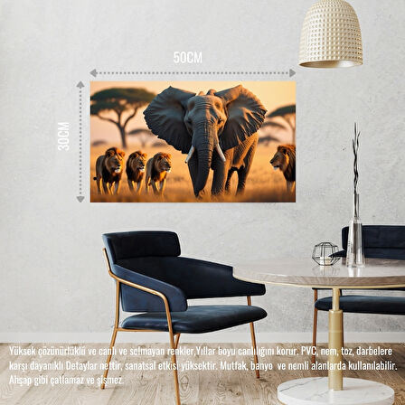 FİL VE ASLANLAR VAHŞİ DOĞADA 02 ÇERÇEVESİZ 50X30 CM PVC TABLO