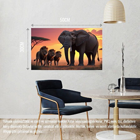 FİL VE ASLANLAR VAHŞİ DOĞADA 03 ÇERÇEVESİZ 50X30 CM PVC TABLO