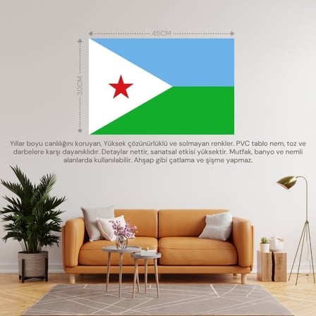 CİBUTİ ÜLKE BAYRAĞI 45x30CM DUVAR TABLOSU ÇERÇEVESİZ PVC TABLO