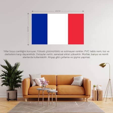 FRANSA ÜLKE BAYRAĞI 45x24CM DUVAR TABLOSU ÇERÇEVESİZ PVC TABLO