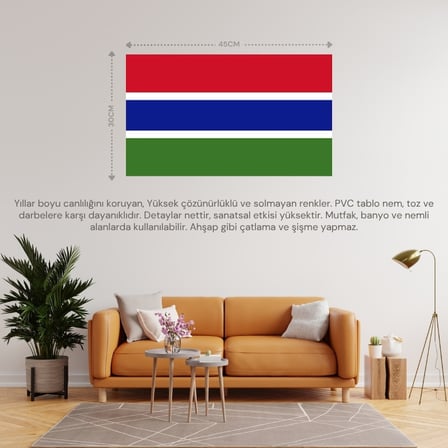 GAMBİYA ÜLKE BAYRAĞI 45x30CM DUVAR TABLOSU ÇERÇEVESİZ PVC TABLO