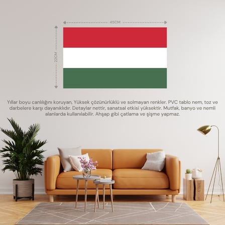 MACARİSTAN ÜLKE BAYRAĞI 45x22CM DUVAR TABLOSU ÇERÇEVESİZ PVC TABLO
