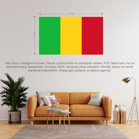 MALİ ÜLKE BAYRAĞI 45x30CM DUVAR TABLOSU ÇERÇEVESİZ PVC TABLO
