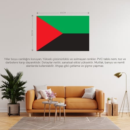 MARTİNİK ÜLKE BAYRAĞI 45x30CM DUVAR TABLOSU ÇERÇEVESİZ PVC TABLO