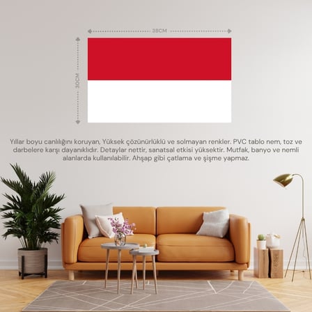 MONAKO ÜLKE BAYRAĞI 38x30CM DUVAR TABLOSU ÇERÇEVESİZ PVC TABLO