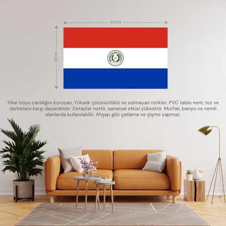 PARAGUAY ÜLKE BAYRAĞI 45x25CM DUVAR TABLOSU ÇERÇEVESİZ PVC TABLO