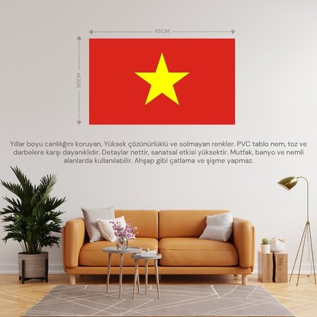 VİETNAM ÜLKE BAYRAĞI 45x30CM DUVAR TABLOSU ÇERÇEVESİZ PVC TABLO