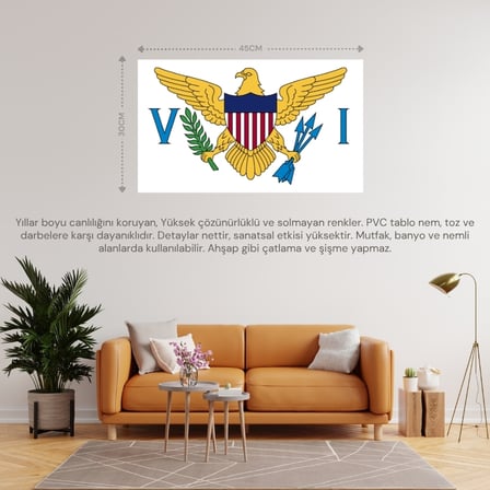 VİRGİN ADALARI ÜLKE BAYRAĞI 45x30CM DUVAR TABLOSU ÇERÇEVESİZ PVC TABLO