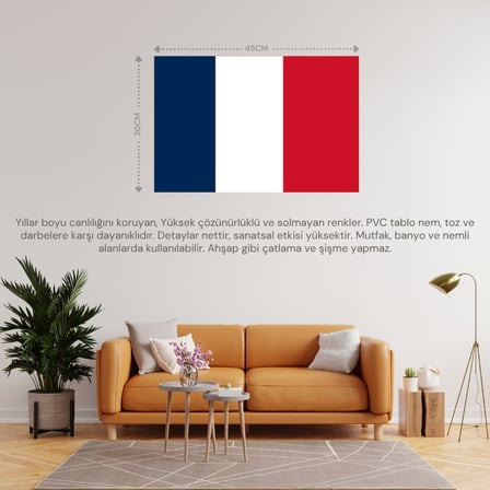 YENİ KALEDONYA ÜLKE BAYRAĞI 45x30CM DUVAR TABLOSU ÇERÇEVESİZ PVC TABLO