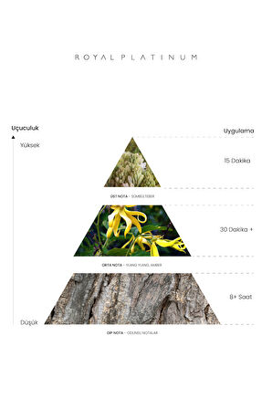 LAMOUR 50 ML PARFÜM