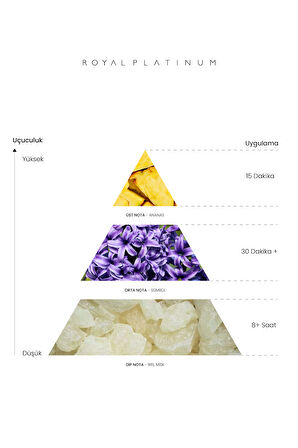 BABYLON 50 ML PARFÜM