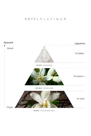 MS.ROYAL 50 ML PARFÜM