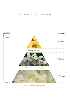 SIGNATURE 100 ML PARFÜM