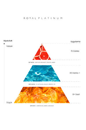LYKIA 100 ML PARFÜM