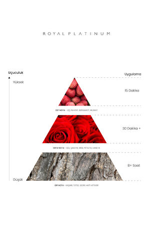 ALEGRIA 100 ML PARFÜM