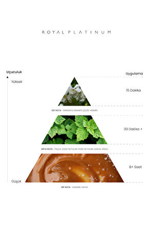 MOON LIGHT 100 ML PARFÜM
