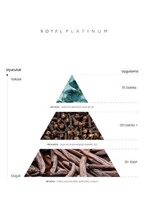 MARLON 100 ML PARFÜM
